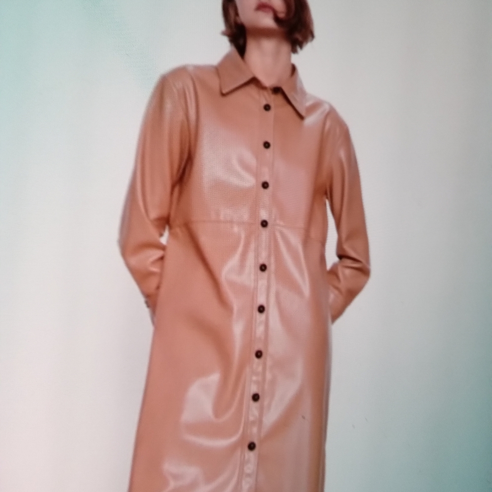 Zara faux leather shirt dress